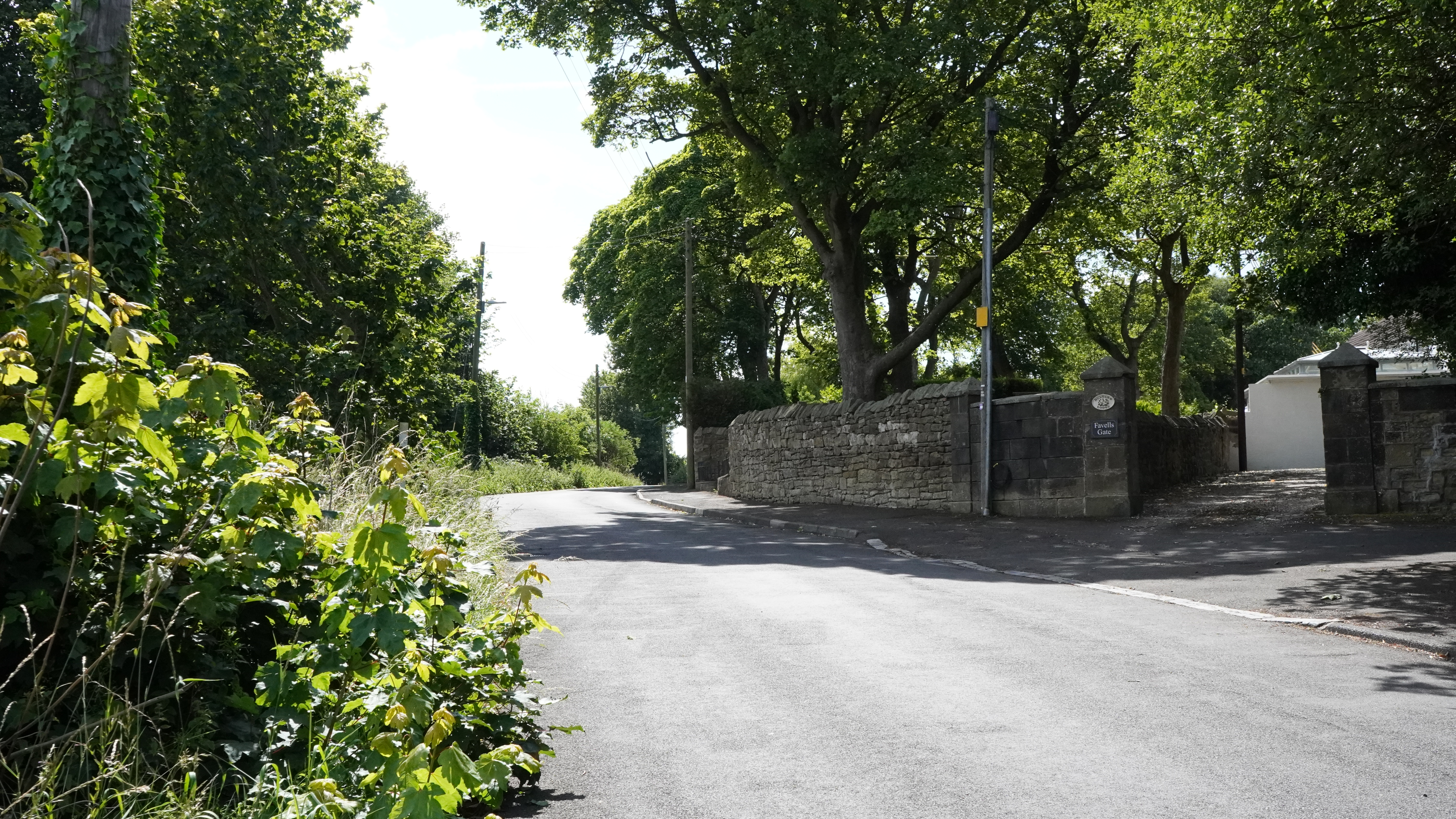 Image 17