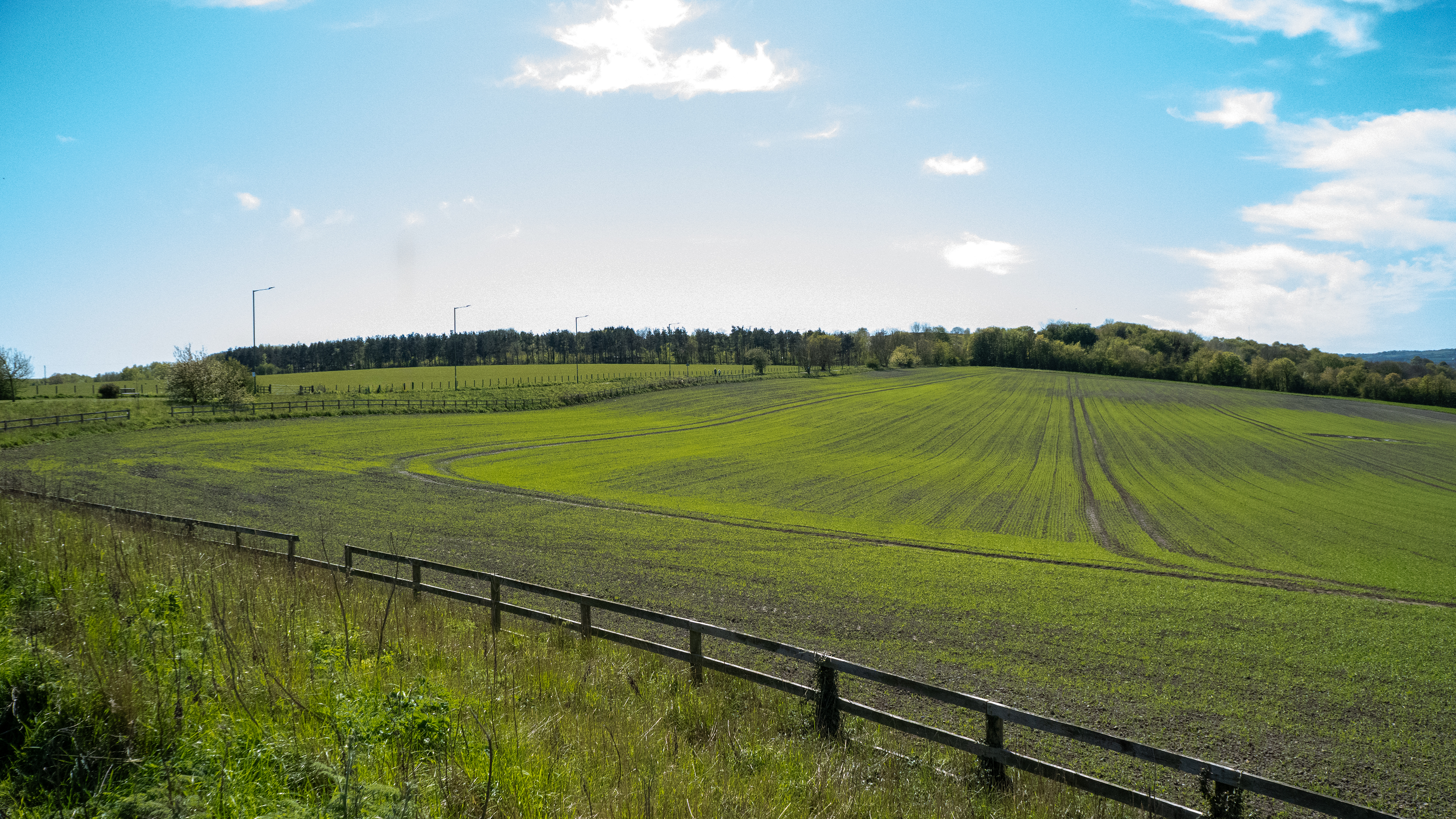 Image 19 - Local Area (1)